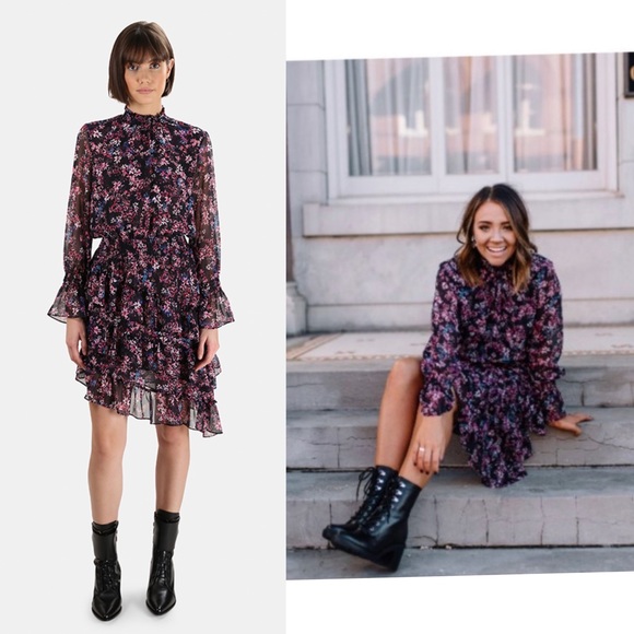 MISA Los Angeles Savanna Asymmetrical Mini Dress Ditsy Multi Ruffle Romantic S - Picture 4 of 17